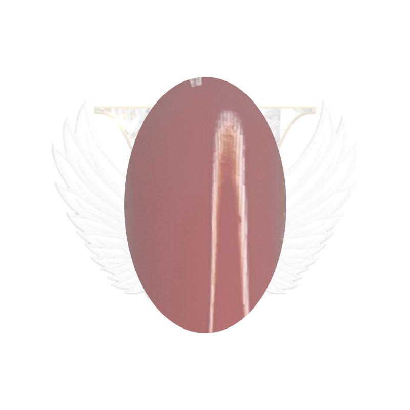 vnails-frenchie-cover